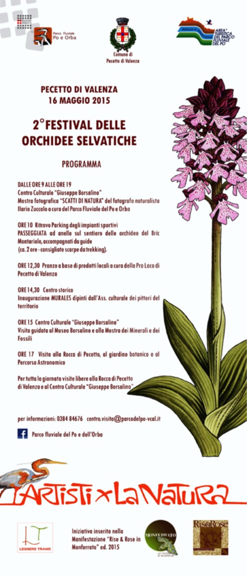 2 festival orchidee_16maggio
